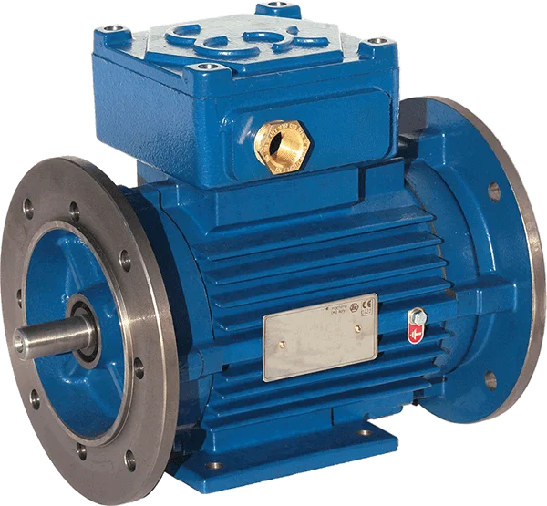 MOTOARE ELECTRICE ANTIEX